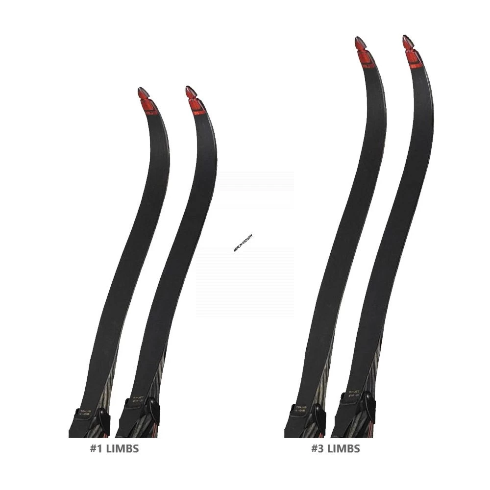 Bear Take Down Limb 4 Bear Take Down Limb - Image 2